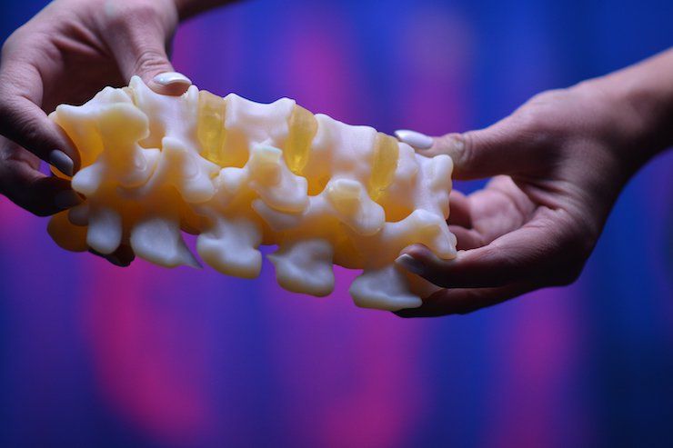 Anatomic model of a spine printed on the Stratasys J750 Digital Anatomy Printer. - Stratasys