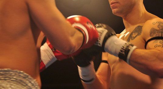 3D Systems vs Stratasys      Stratasys and 3D Systems could be squaring up to each other in a battle to become 3D printing champion. - MartialArtsNomad