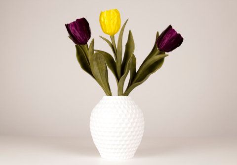 MakerBot PrintShop Vase Maker app