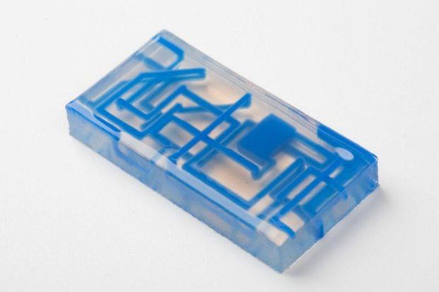 Silicone parts printed in translucent and blue silicone.