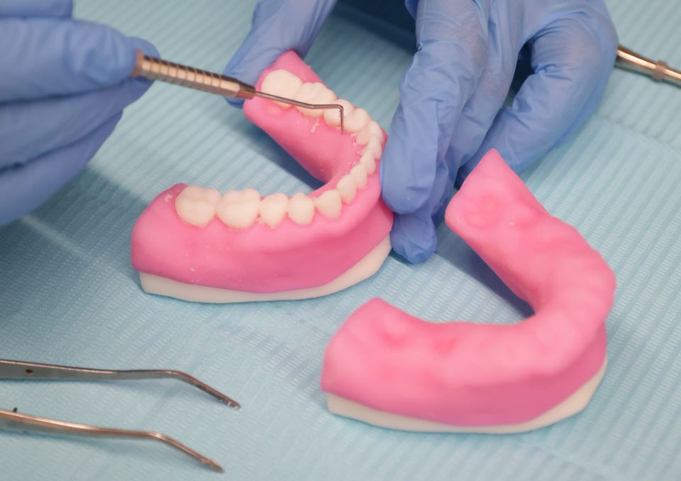 Stratasys introduces multi-material 3D printed anatomical model preset for dental training