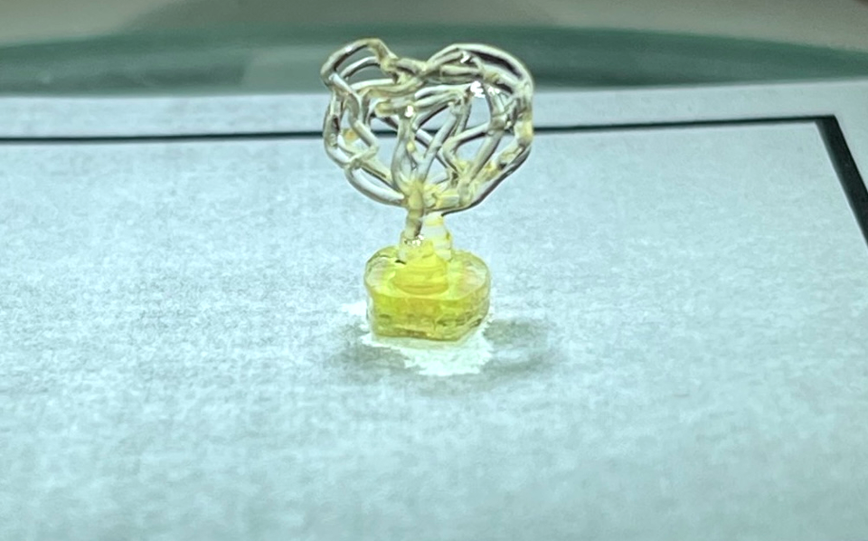 Auxilium Biotechnologies to provide orbital 3D bioprinting capabilities aboard Starlab space station