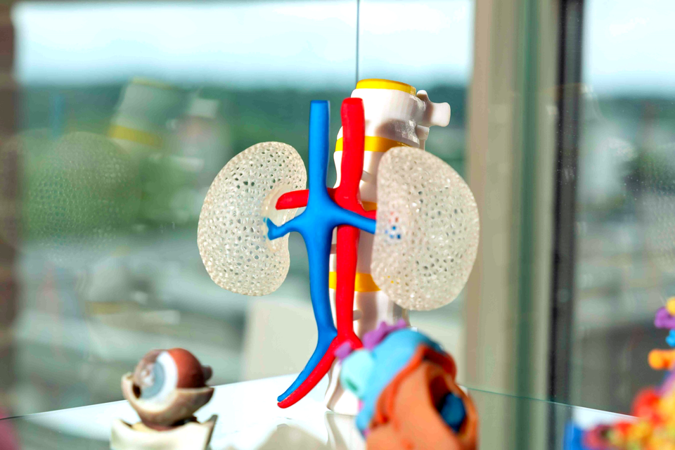 Ricoh sells Ricoh 3D for Healthcare business
