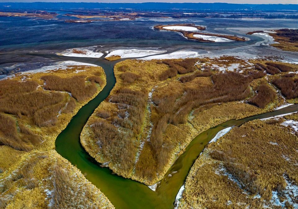 A branching river landscape viewed from above, suggesting different paths through the Reality-Based Living articles.