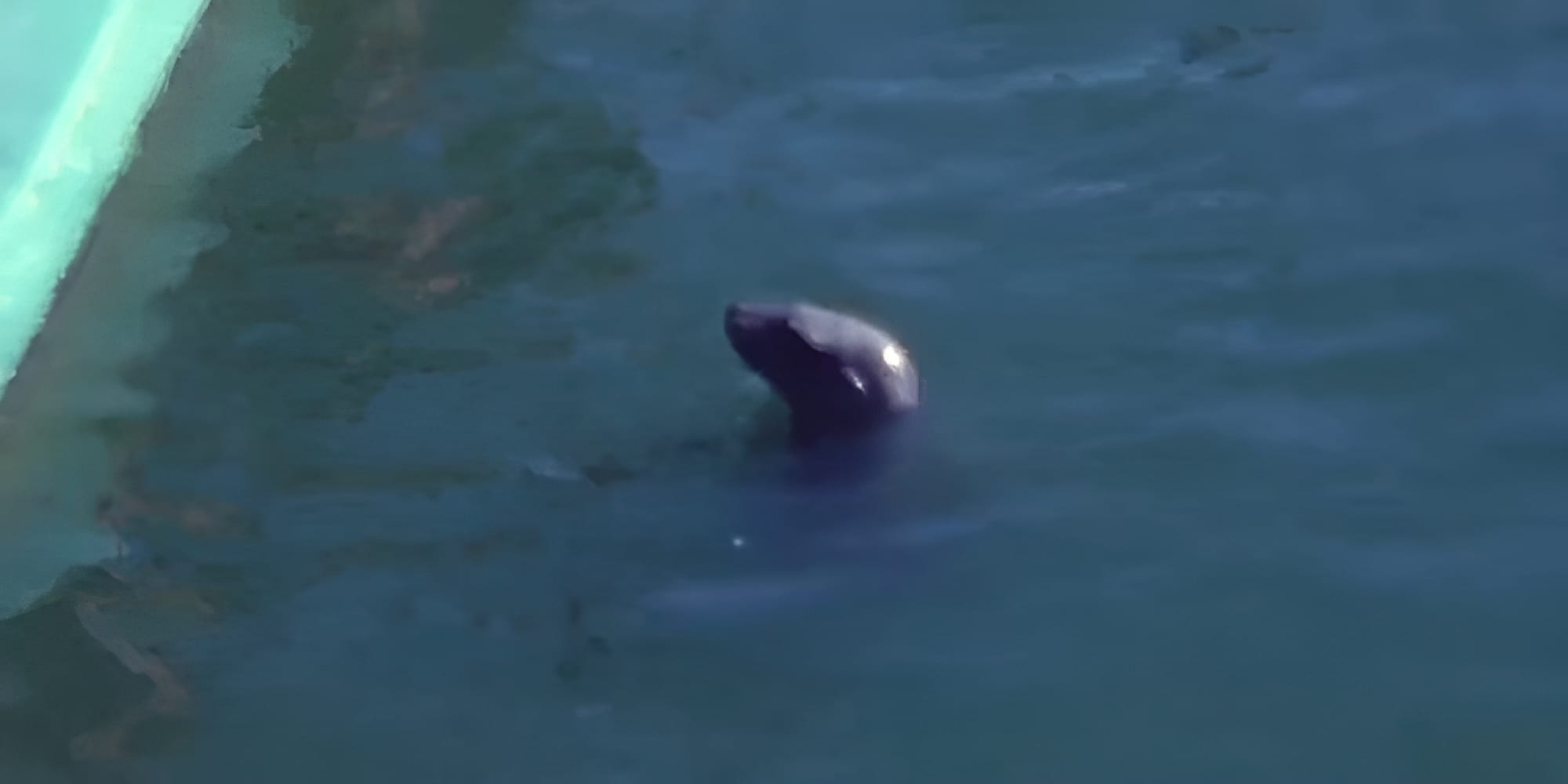 The Production of "Space"