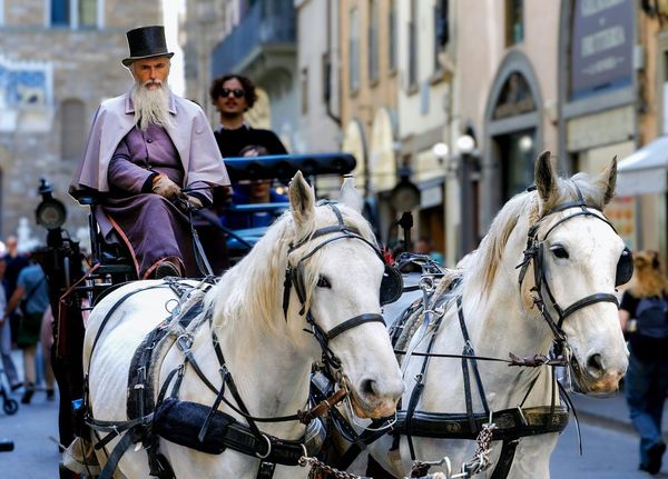 Avança amb propòsit, prudència i propulsió