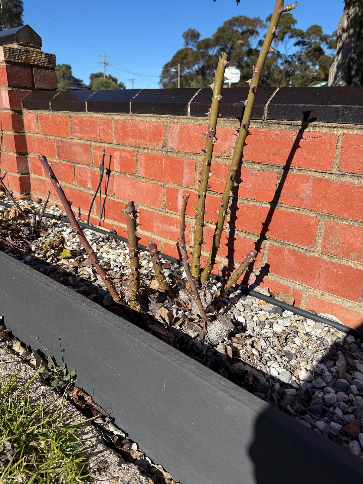 Finishing up the winter jobs