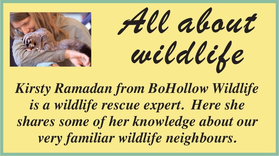 As the seasons change...