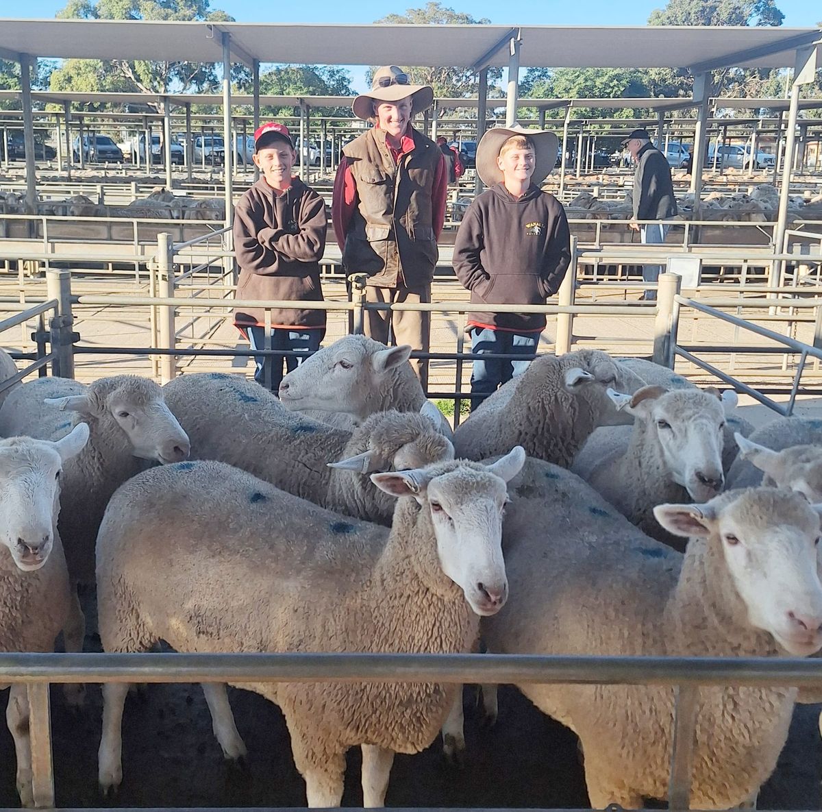 Ogden family’s Easter lamb sale raises funds for hospital that saved their son