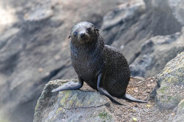 Time to preserve nature while we can