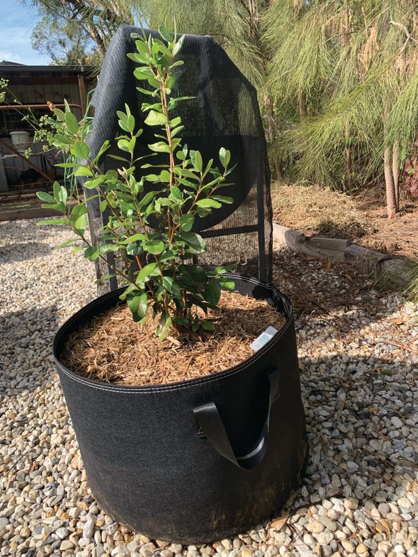 Gardening needn’t be back breaking!