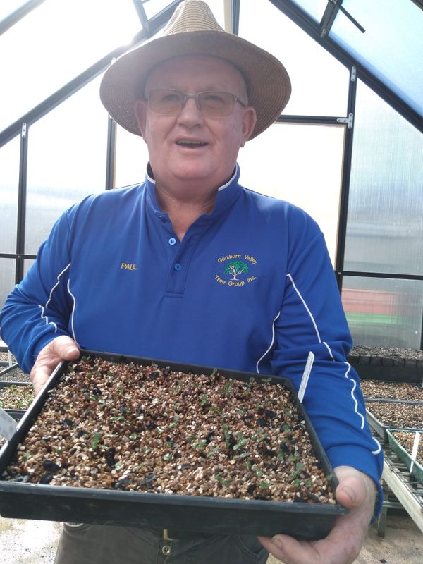 Exciting times at Goulburn Valley Tree Group Native Nursery