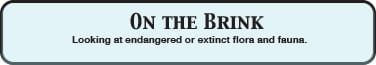 Do we care if mosquitoes become extinct?