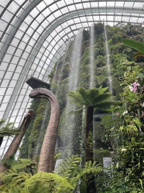 A Foreign Flower Adventure