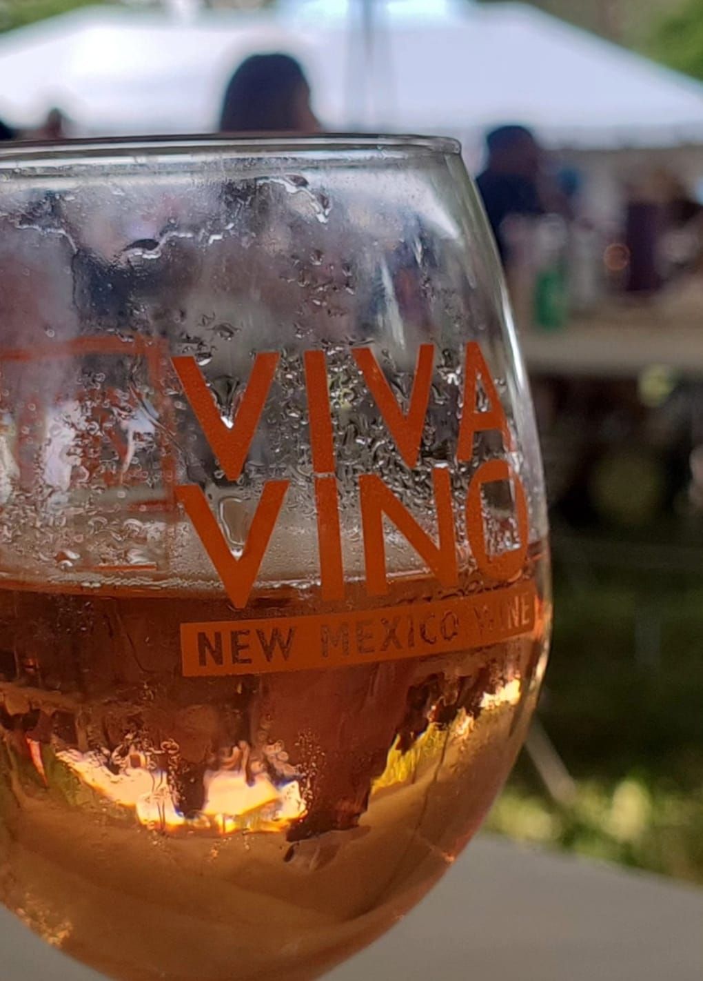 New Mexico Wine Festival: Is It Worth It?