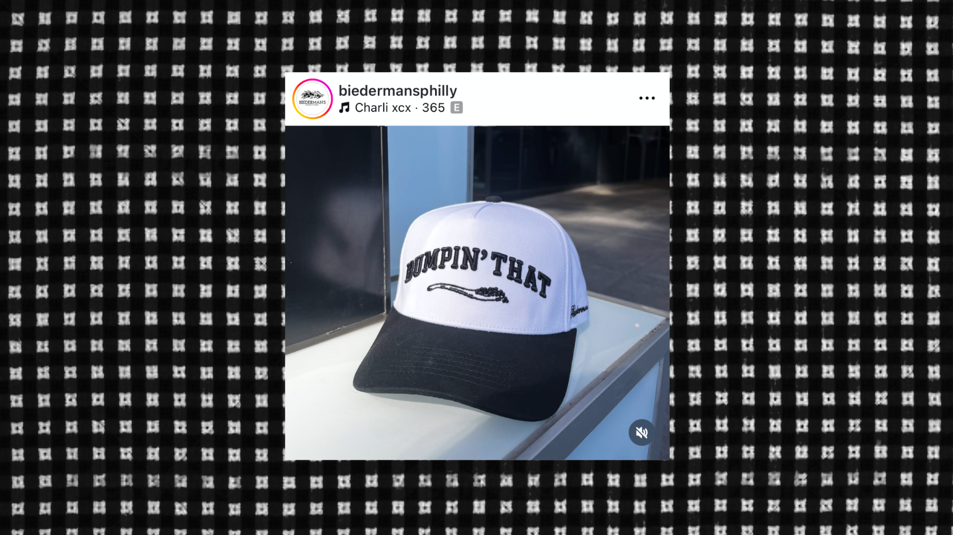 Q&A with Lauren Biederman