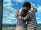 人生的目標在於創造難忘的生命體驗 — 37 歲生日與《Die with Zero》讀後感