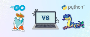 Go vs. Python