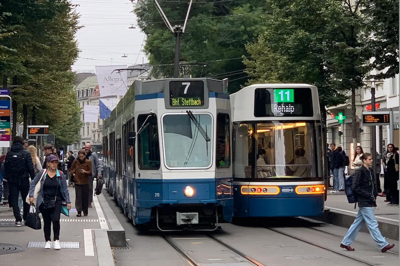 Anatomy of the Swiss Revolution