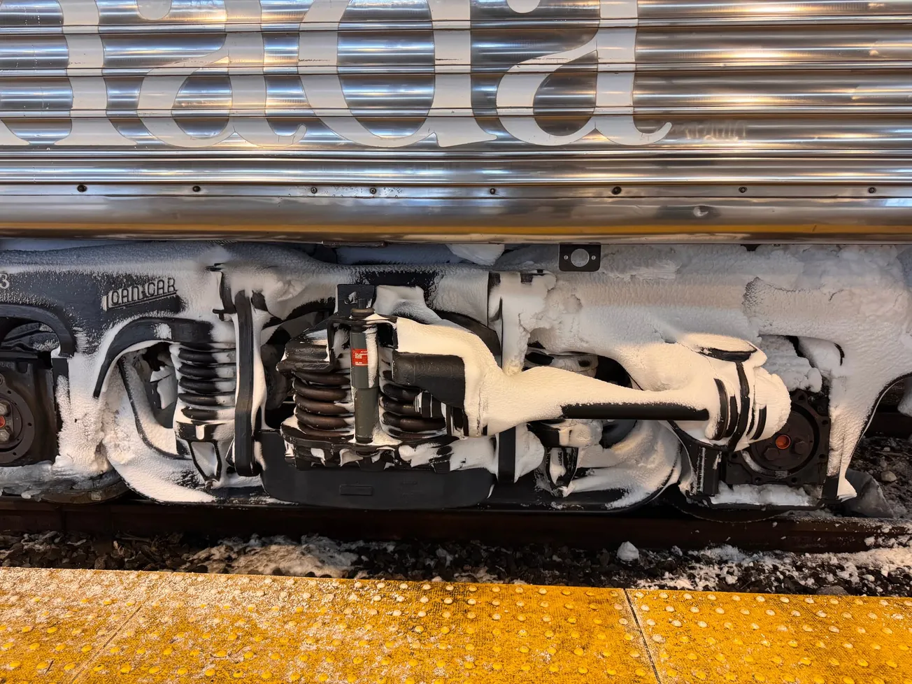 Winter? What Winter?