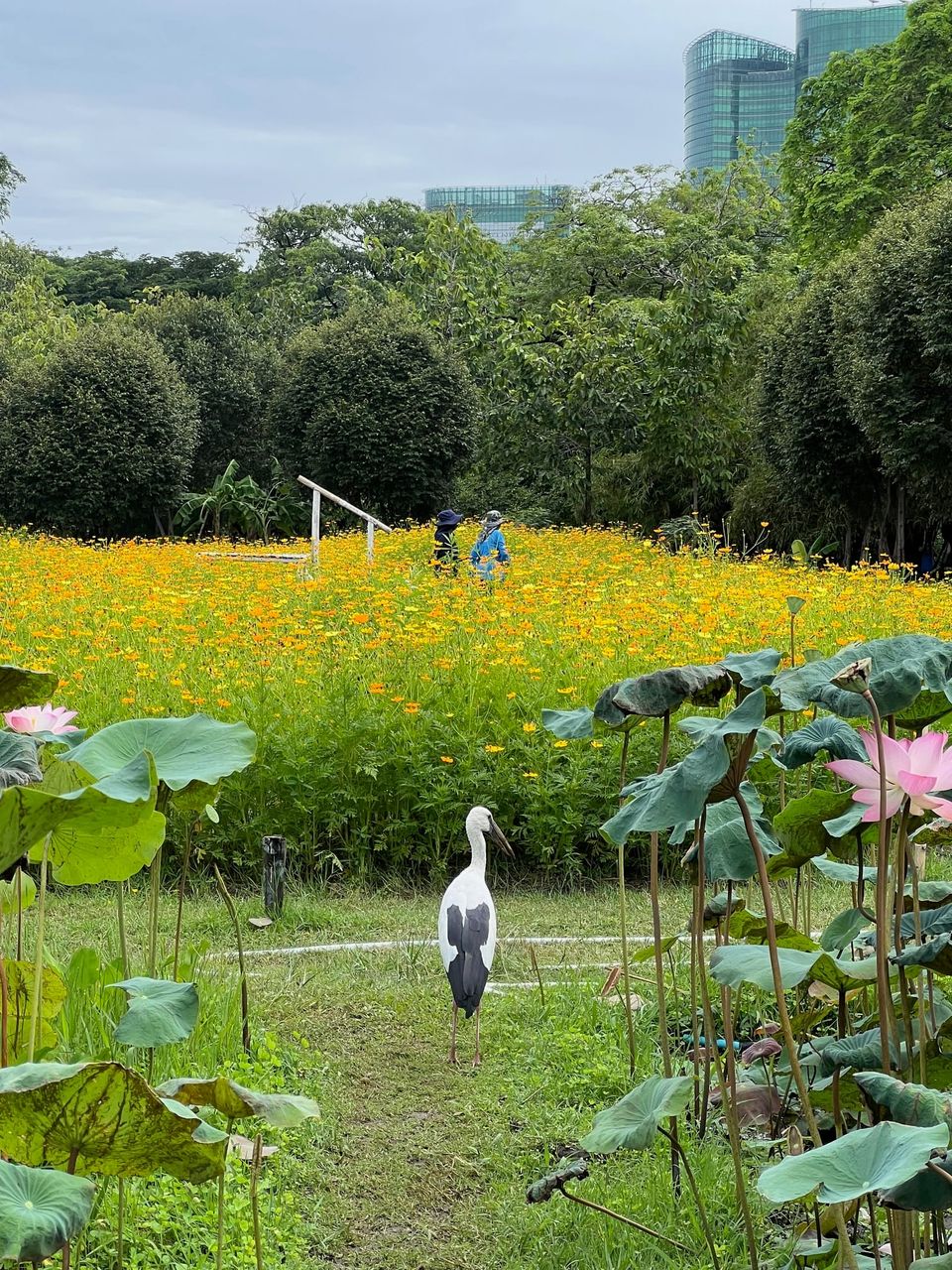 2025.9.10 👉 198 ways to act, finding a path through a tangled forest of ideas