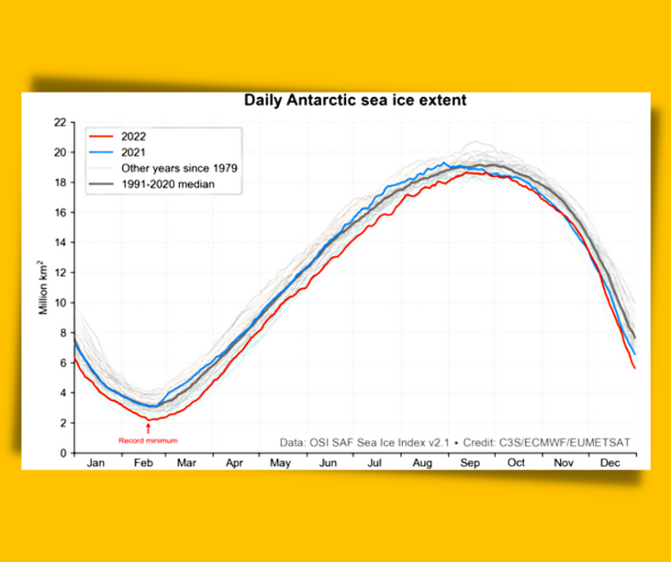 Figure 2: Antarctic sea ice extent throughout the month in 2022 (red line), compared with 2021 (blue line) and previous years.