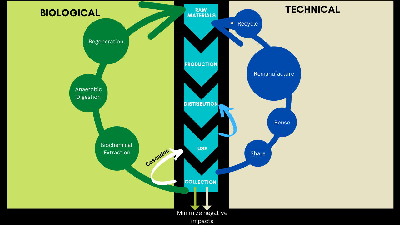 Figure 3: A Butterfly Diagram, representing the principles of Circular Economy.