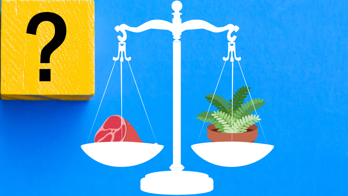 Carbon Offsetting: controversial solution for climate change