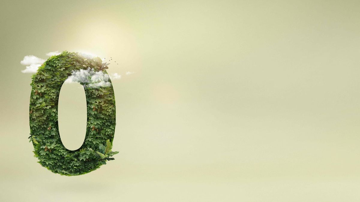 Carbon Neutral vs Net Zero