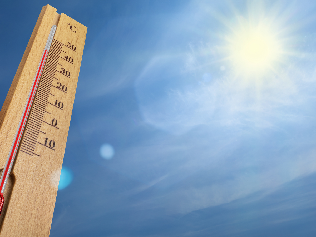 Heat wave grips Europe: Climate crisis intensifies