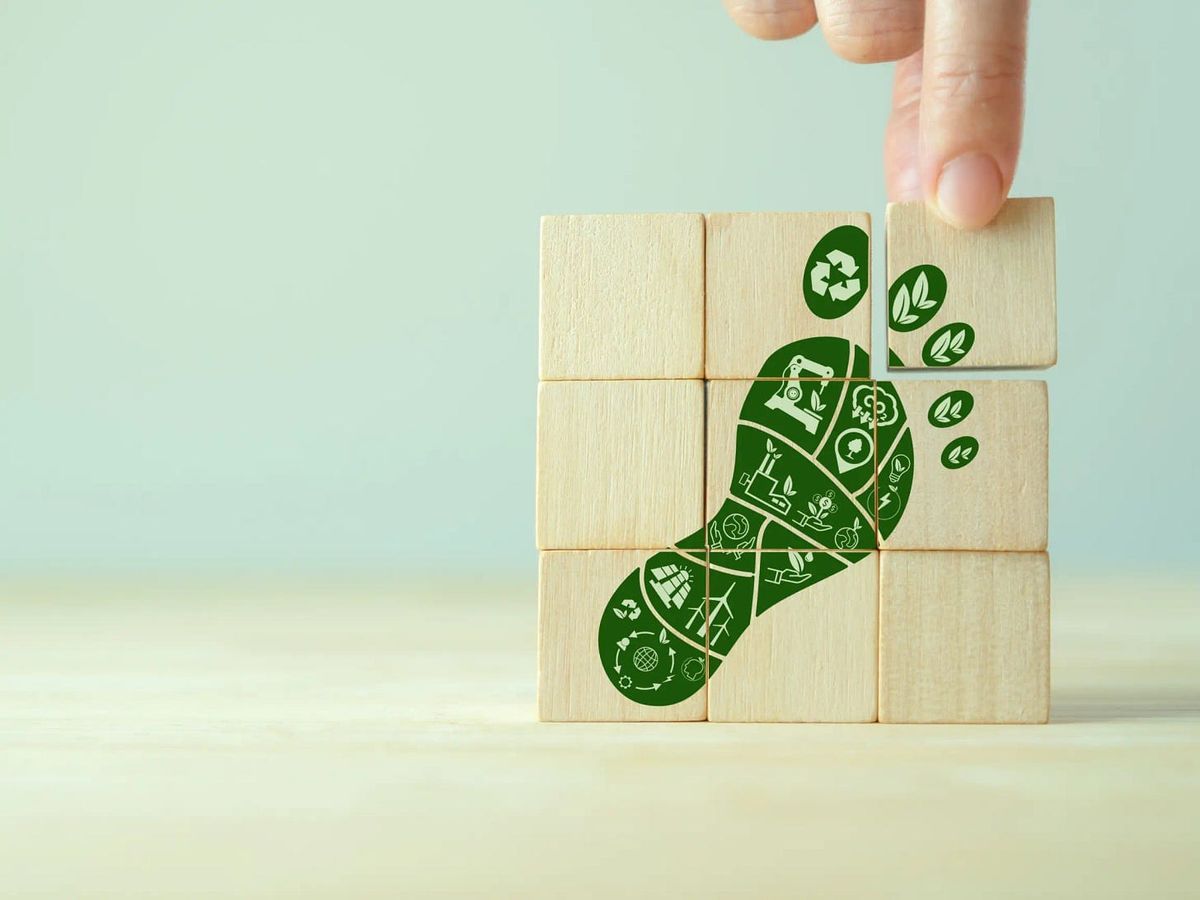 The rising interest in tracking Scope 4 emissions