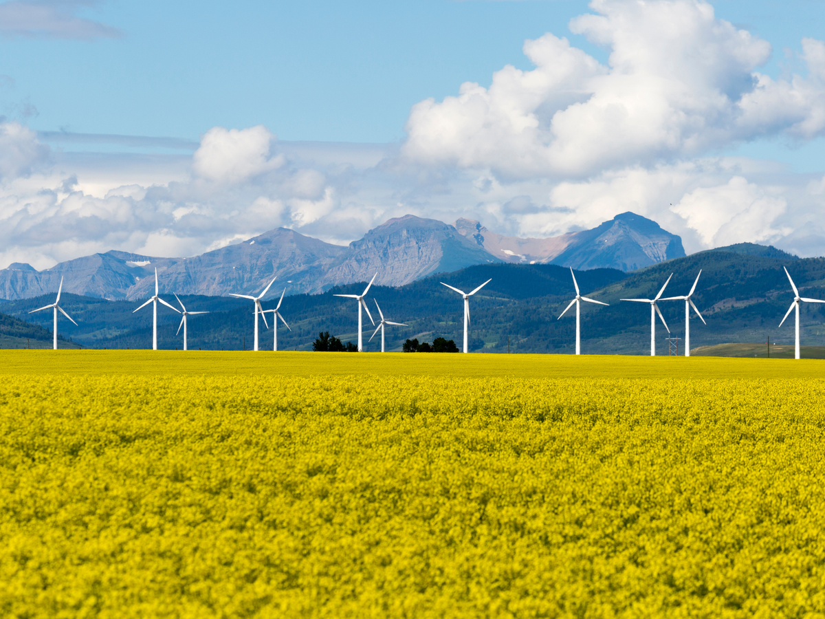 How Artificial Intelligence is redefining careers in clean energy