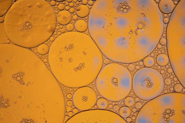 Revolutionary biodegradable polymer: PGA benefits revealed