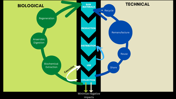 Understanding sustainability with these 3 Circular Economy principles
