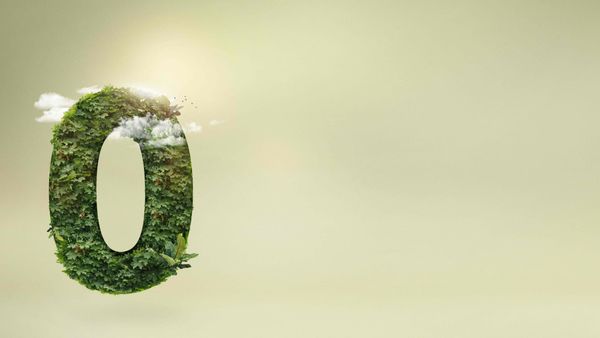 Carbon Neutral vs Net Zero