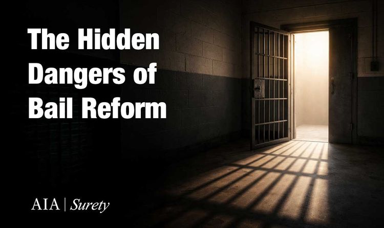 New Bail Reform Report from the Bail Project Tries to Link Surety Bail to Preventative Detention