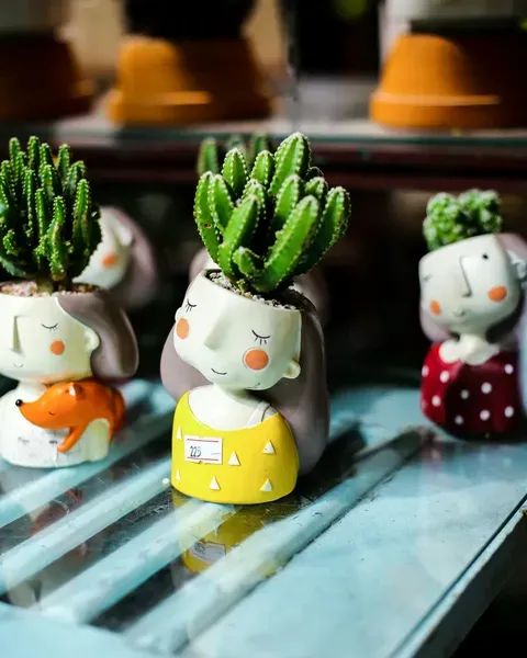 Baby Play & Sports Gear (HS 9506) Tariffs: Active Play Brands Guide