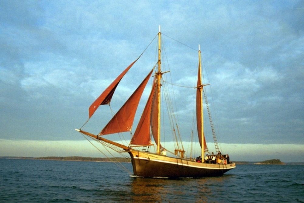 Yritystapahtumat - Kaljaasi Olga.