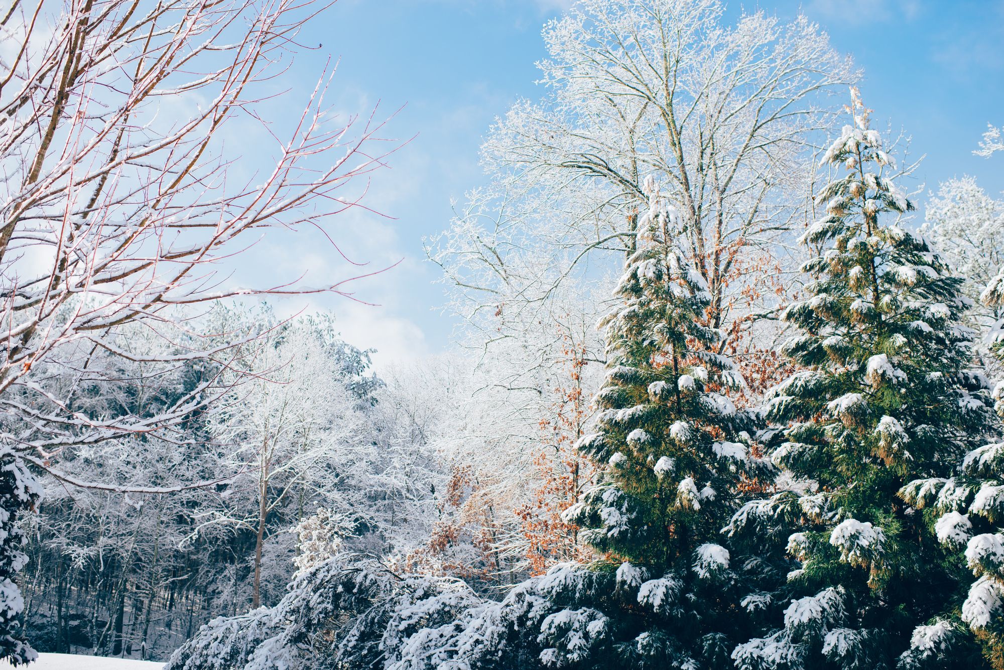Winter Wonderland – pikkujoulut teema – Venuu.fi