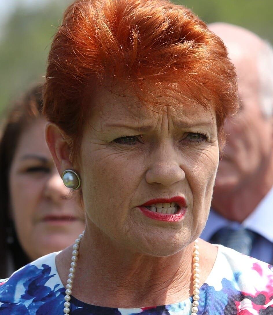 PAULINE HANSON | 'Australian homes for Australians only'