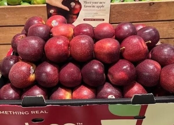 AN APPLE A DAY | The WA apple that refuses to go brown when cut