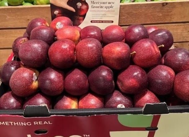 AN APPLE A DAY | The WA apple that refuses to go brown when cut