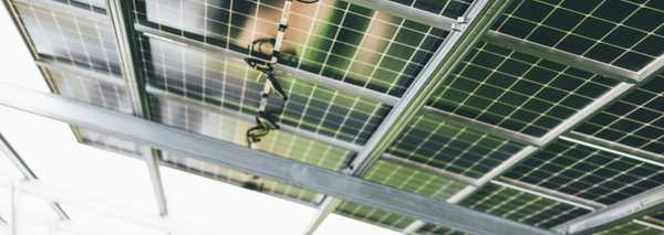 Exceptional Underlying Growth