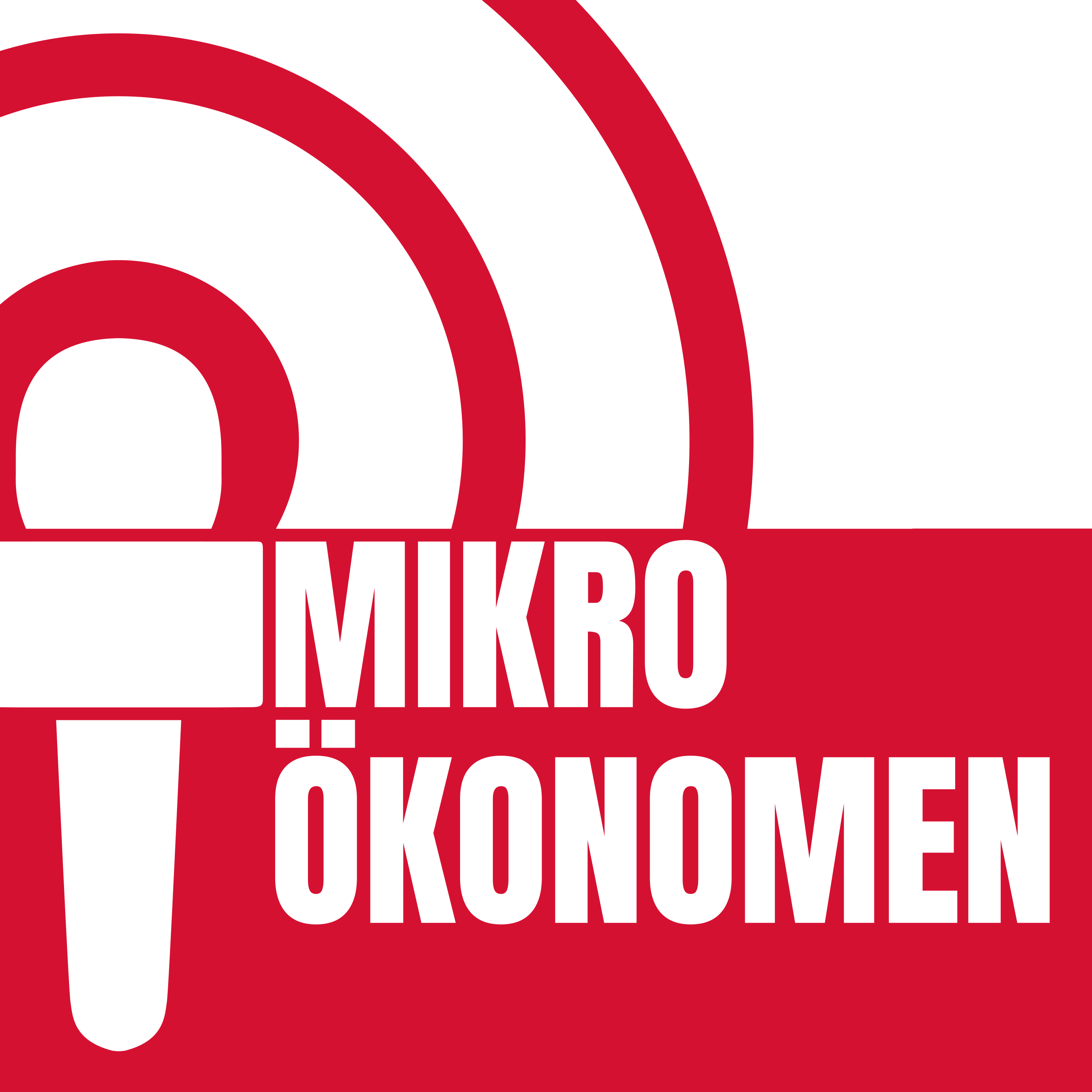 mikrooekonomen