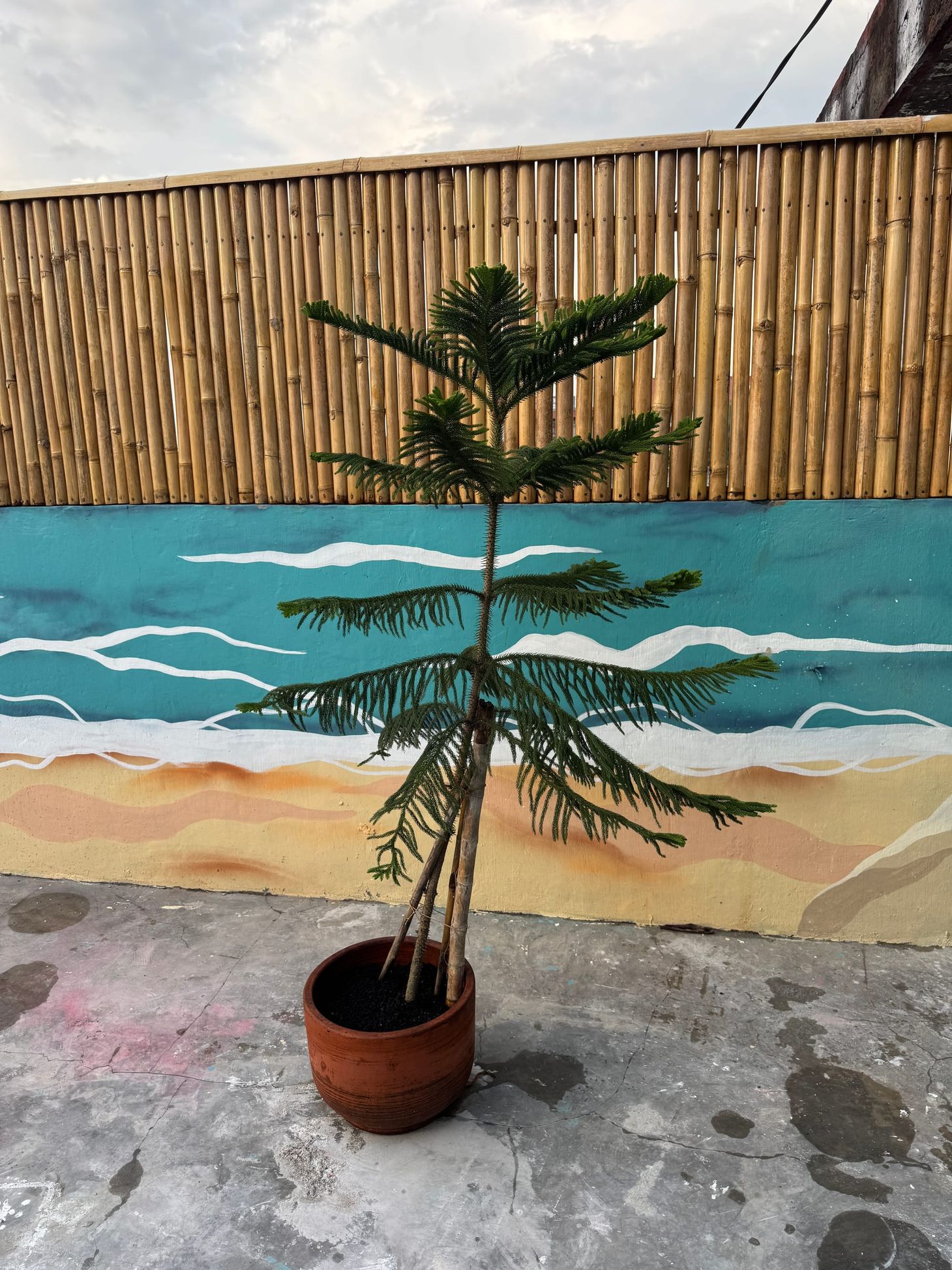 MikroNews: Wir haben ein Problem