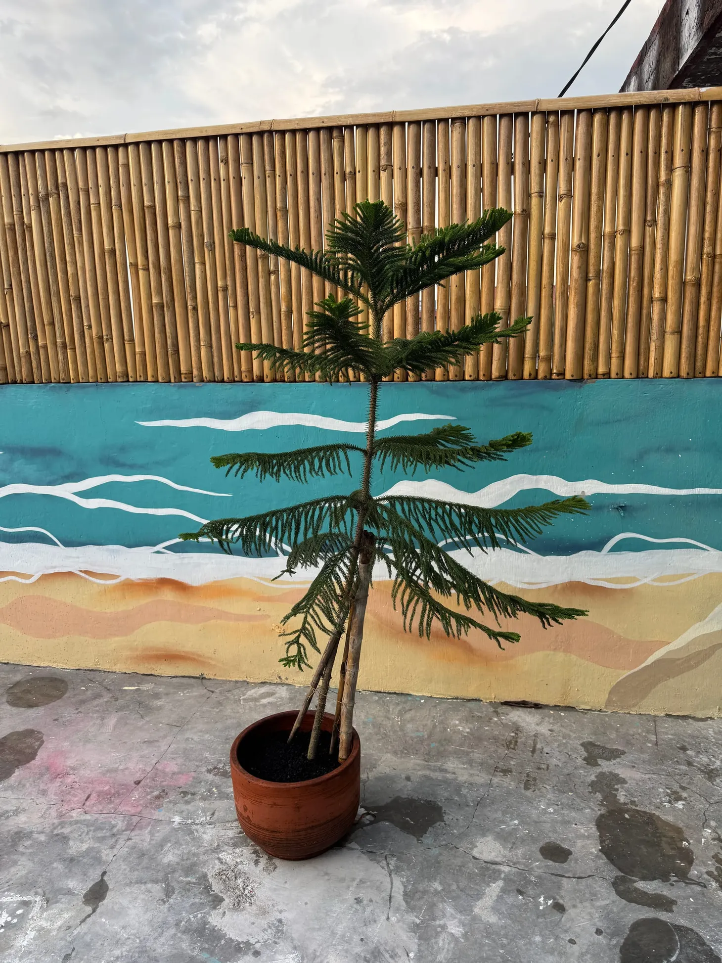 MikroNews: Wir haben ein Problem