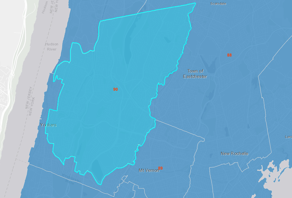 NYS Assembly District 90 Candidate Cheat Sheet