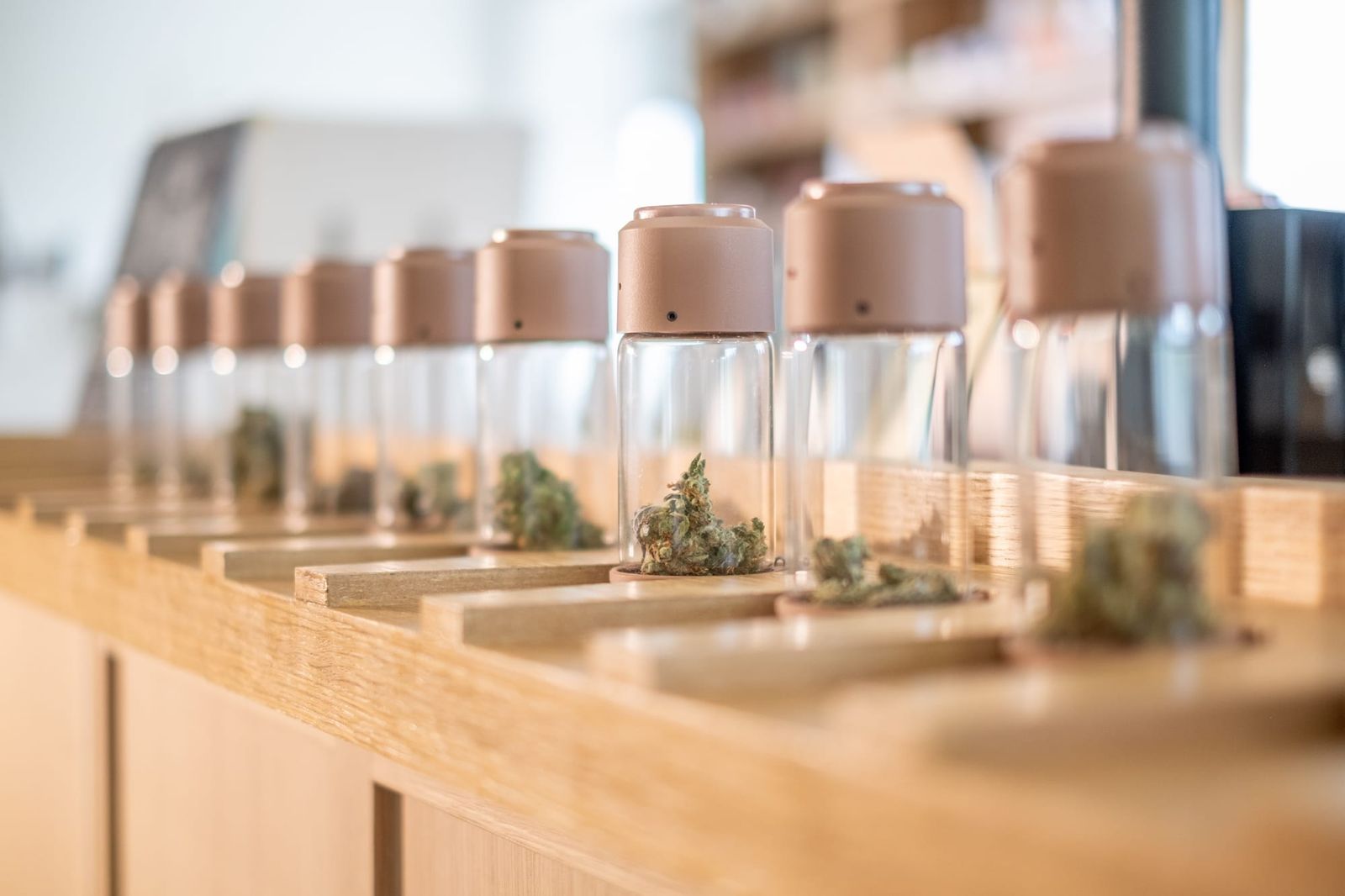 Yonkers Cannabis Guide: Inside the City’s Growing Dispensary Scene