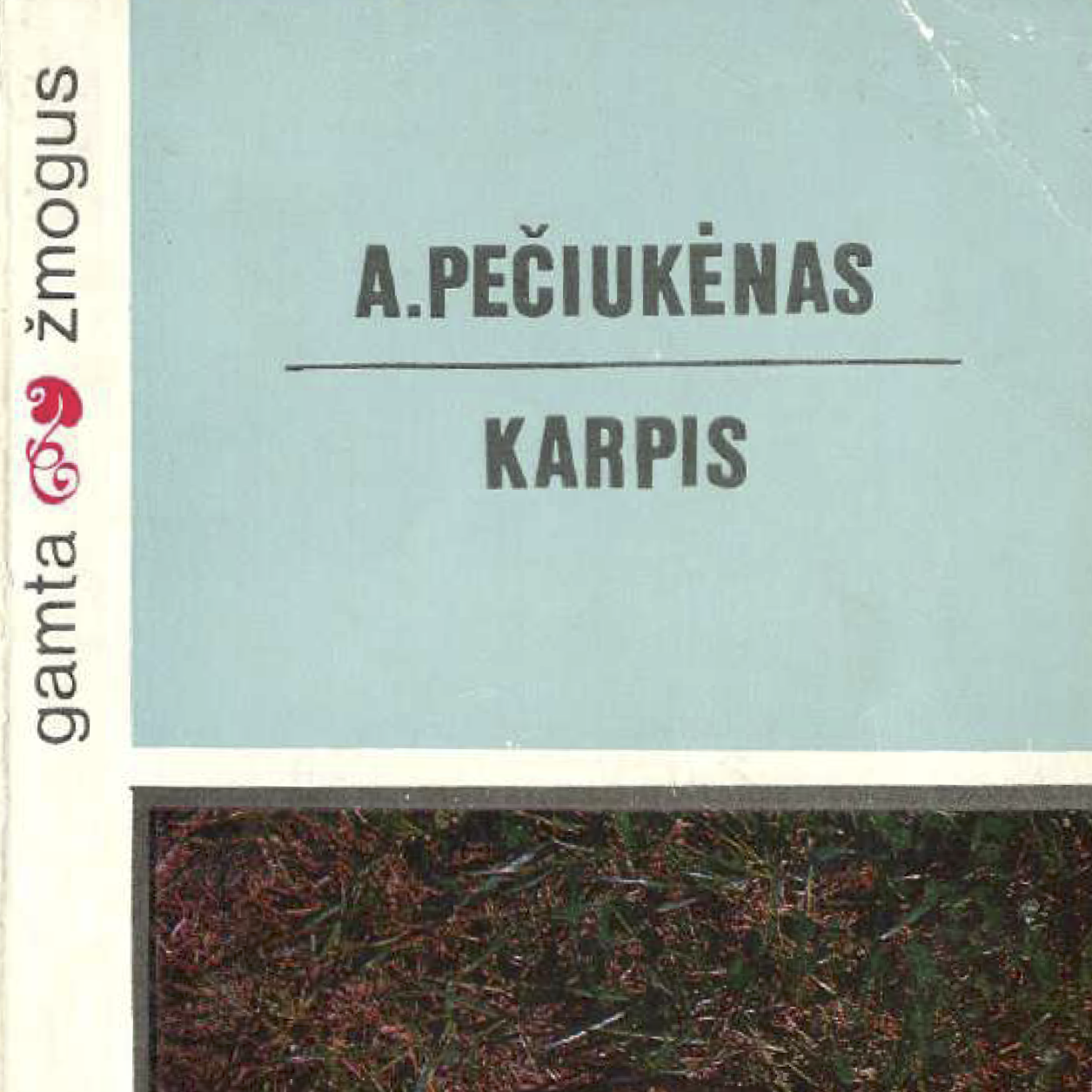 KNYGA | A.Pečiukėnas "Karpis"