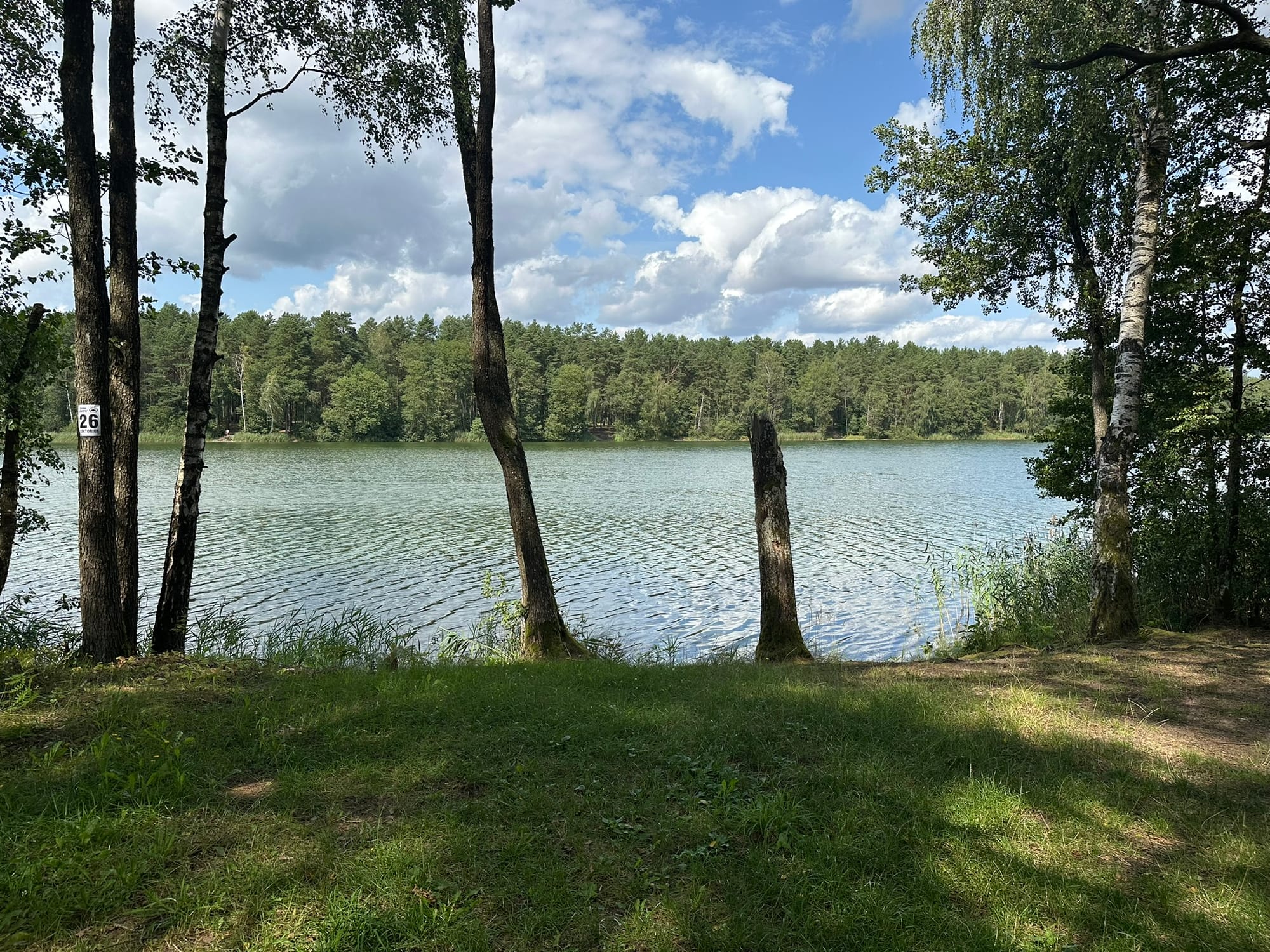 📍Ilgio Ežeras. 26 sektorius. Apžvalga